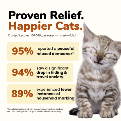 Cat Calming Drops