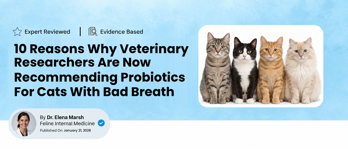 10 Reasons Why Veterinary Researchers Are Now Recommending Probiotics For Cats With Bad Breath