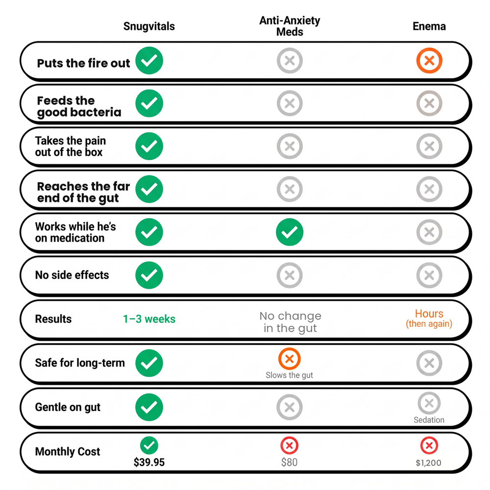 How Feeding The Good Bacteria Compares To Your Other Options
